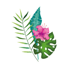 Sticker - hibiscus beautiful pink color with branch and leaves, tropical nature, spring summer botanical vector illustration design