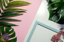Flat Lay Of A Palm And Monstera Leaves, Pink Flowers And Blue Frame On White And Pink Background