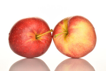 Red ripe apples, close-up, on a white background.