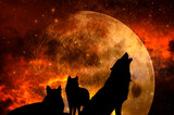 three wolves - pack of wolves over background with planet and universe like mystic magic fantasy animal concept 