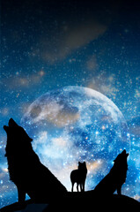 Naklejka na meble pack of wolves - three wolves silhouette, one howling wolf, over universe and Moon and stars in blue color like magic fantasy animals concept 