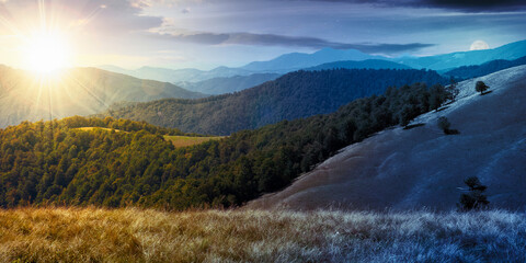 Wall Mural - day and night time change concept in mountain landscape. grassy meadow on the hillside. beech forest