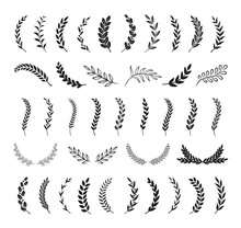 Set Of Hand Drawn Silhouette Tree Branches With Laurel, Oak And Olive Foliate. Vector Illustration For Your Frame, Border, Ornament Design, Wreaths Depicting An Award, Achievement, Heraldry, Emblem, L