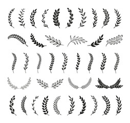 set of hand drawn silhouette tree branches with laurel, oak and olive foliate. vector illustration f