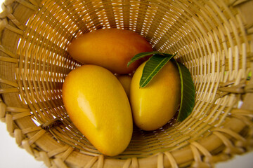 Sticker - Harvest Ripe Mango put in wood basket with leaf