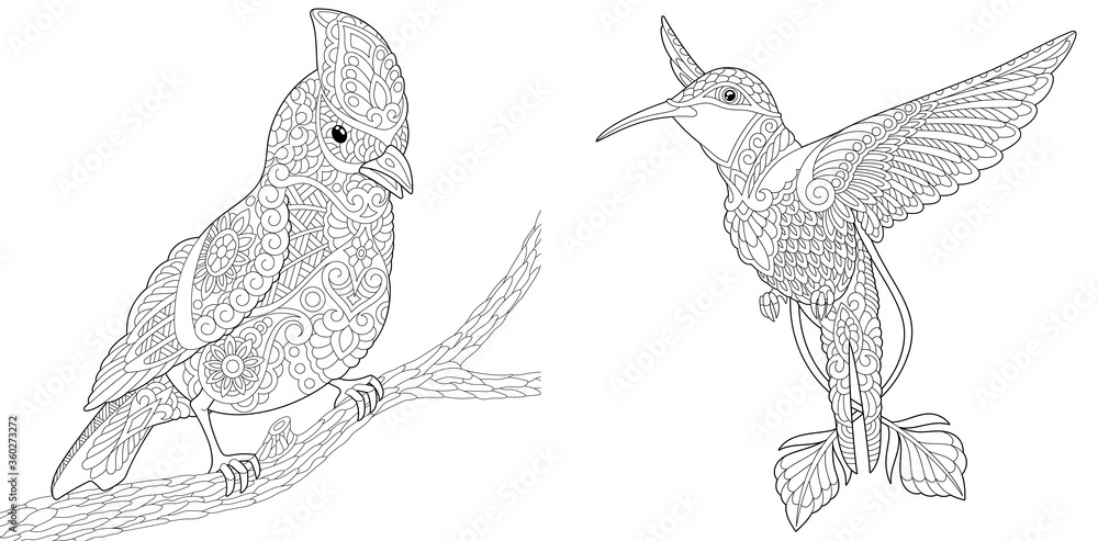 Coloring pages with cardinal bird and hummingbird