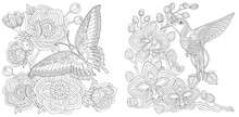 Coloring Pages With Butterfly And Hummingbird