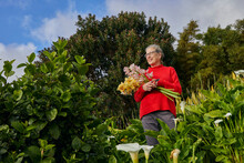 Older Woman Holding Bouquet Of Fresh Cut Flowers In Her Garden
