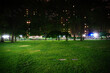 © Renata - Night at a park in the city of New York