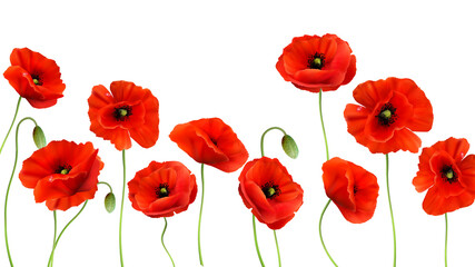 Poster - Red Poppy background. 3d Realistic Vector