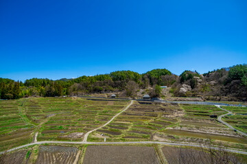 長野県飯田市　千代のよこね田んぼの棚田