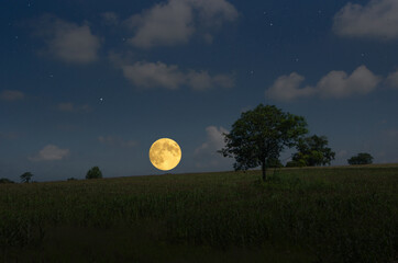 Wall Mural - Romantic full moon over the hill in countryside