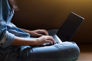 Wall Mural - woman working on laptop computer