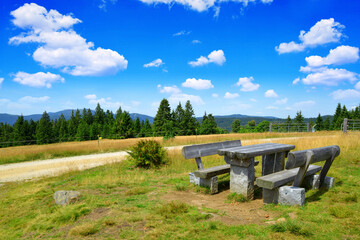 Wall Mural - landscape in the national park bayerischer wald. germany.
