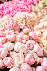  Floral carpet or Wallpaper. Background of mix of flowers. Beautiful flowers for catalog or online store. Floral shop and delivery concept. Top view. Copy space