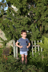 Wall Mural - Summer garden with fir-tree. Child in countryside, village. Vintage wooden house, bench and fence in Suzdal town, Vladimir region, Russia. Summer nature in village, countryside. Happy childhood. Kid