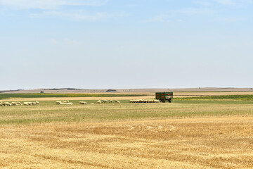 spanish landscape view of european countryside rural area in castilla y leon burgos spain.