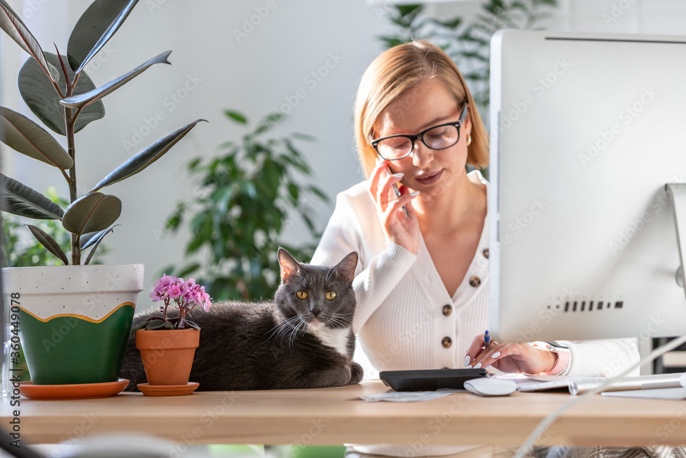 Woman talking on the phone, using calculator to calculate the invoice, planning expenses while working on desktop from home office, cat sitting on the table surrounded by plants. Business from home - obrazy, fototapety, plakaty 