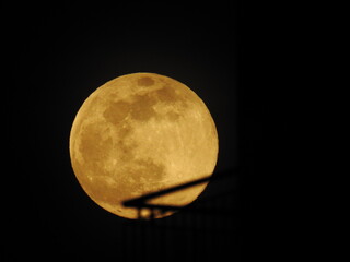 Lune rose au balcon