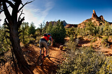 Mountain Biking In The Red Desert Of Arizona