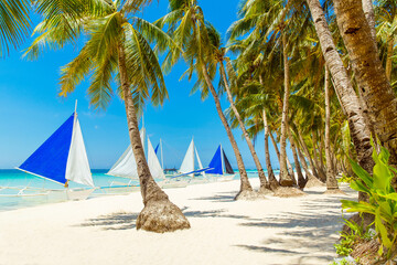 Beautiful landscape of tropical beach on Boracay island, Philippines. Coconut palm trees, sea, sailboat and white sand. Nature view. Summer vacation concept.