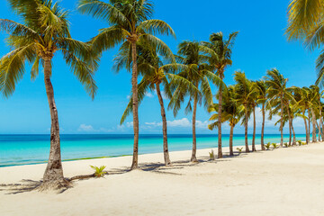 Beautiful landscape of tropical beach on Boracay island, Philippines under lockdoun. Coconut palm trees, sea, sailboat and white sand. Nature view. Summer vacation concept.