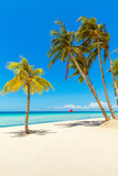 Fototapeta  - Beautiful landscape of tropical beach on Boracay island, Philippines. Coconut palm trees, sea, sailboat and white sand. Nature view. Summer vacation concept.