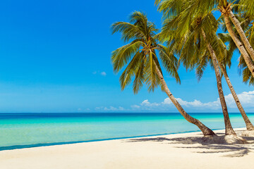 Beautiful landscape of tropical beach on Boracay island, Philippines. Coconut palm trees, sea, sailboat and white sand. Nature view. Summer vacation concept.