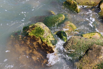 Sea pebble. Sea stones background. Ocean beach rocks.