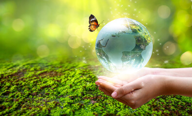 a man with a glass globe concept day earth save the world save environment the world is in the grass