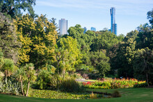 Royal Botanic Gardens In Melbourne
