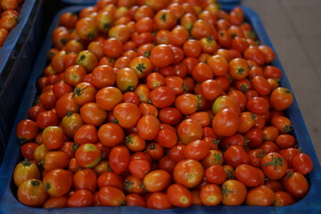 Fresh Red tomatoes for sale at traditional vegetables market