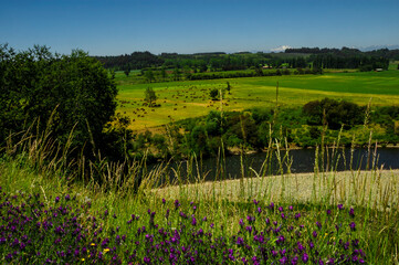 Wall Mural - paisajes naturaleza  campo flores  pastizales bobinos   volcanes  rio Chile Sudamerica cascada arboles