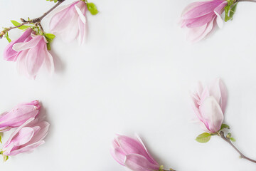 Wall Mural - Beautiful frame of pink magnolia flowers on white background. Space for text