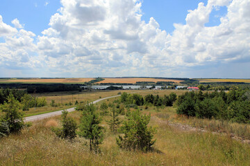 Wall Mural - the road to the river