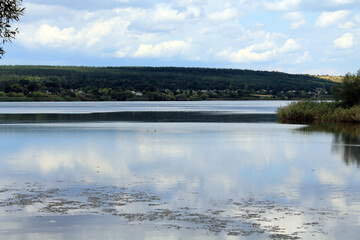 Wall Mural - lake in the forest