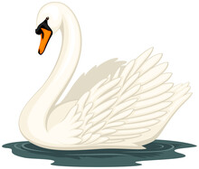 Vector Illustration Of A Swan In Water, Against A White Background.