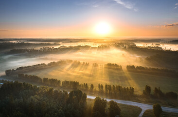  Highway going through meadow in mist surrounded by forest. Aerial view over picturesque landscape in fog at sunrise. 

