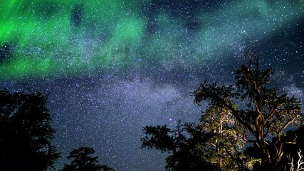 bristlecone pine milky way galaxy time lapse stars and simulated aurora solar flare