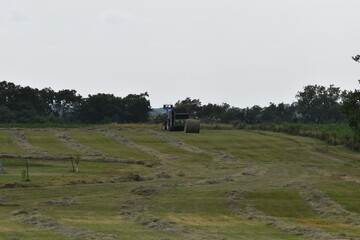 Sticker - Hay Field