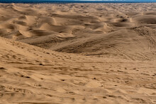 Panoramic View Of The Imperial Sand Dunes In The Sonoran Desert Of California, USA, Featuring Tire Tracks From Dune Buggying