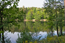 Forest Lake Surrounded By Green Trees. The Opposite Shore Is Reflected In The Mirror Surface Of Crystal Clear Water.