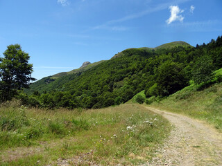 Wall Mural - Paysage d'Auvergne