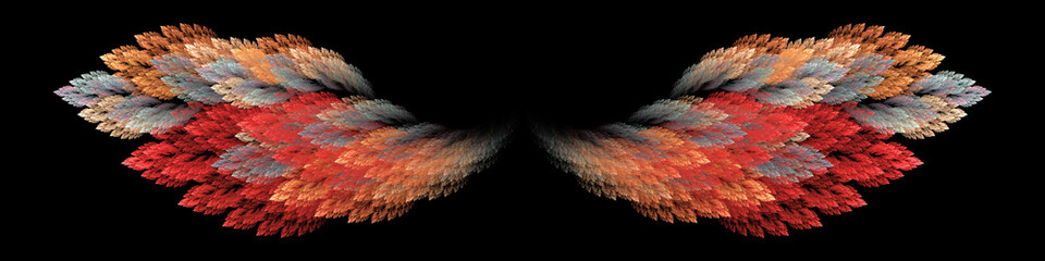 Wall Mural - Volcano bird wings on black background