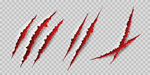 Claws Scratches. Wild Animal Claws Scratch Texture With Red Background. Horror, Thriller , Halloween Monster Vector Scratched Marked Isolated