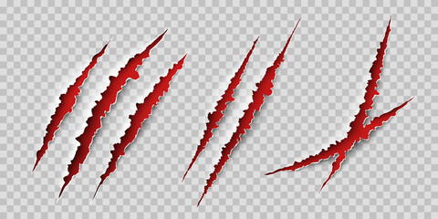 claws scratches. wild animal claws scratch texture with red background. horror, thriller , halloween