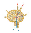 © Aldona - Lymph node structure illustration