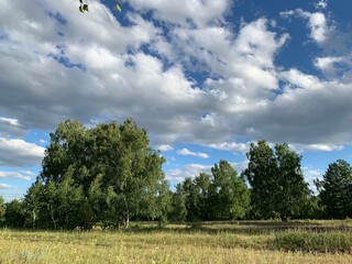 A large green field with trees in the background. Blue sky