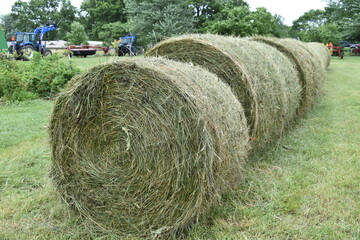 Wall Mural - Round Hay Bales