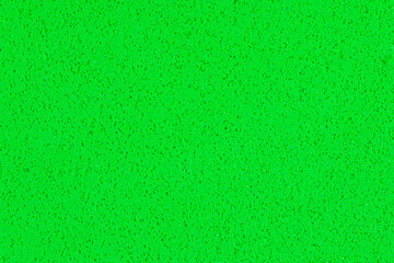 Wall Mural - A macro photo of a green gradient color with texture from real foam sponge paper for background, backdrop or design.